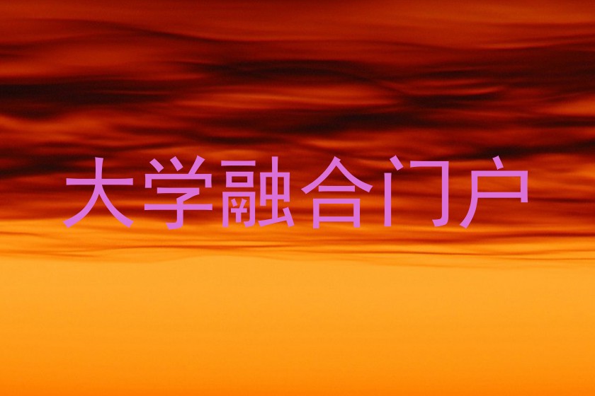 大学融合门户