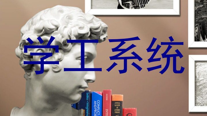 学工系统