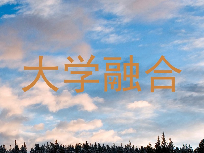 大学融合