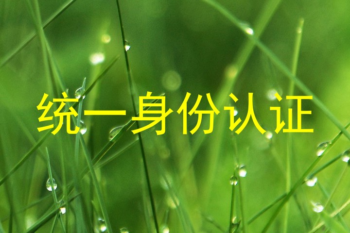 统一身份认证