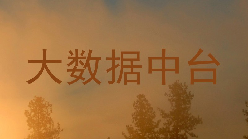 大数据中台
