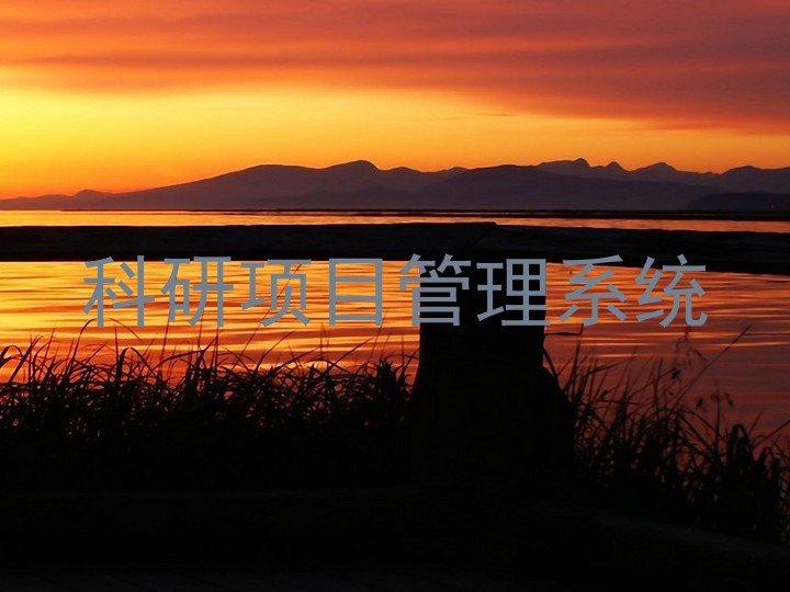 科研项目管理系统