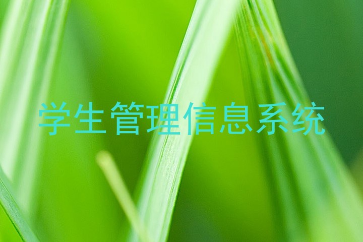 学生管理信息系统
