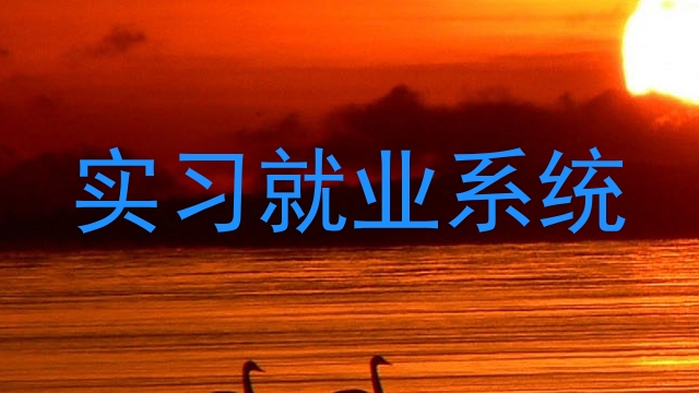 实习就业系统