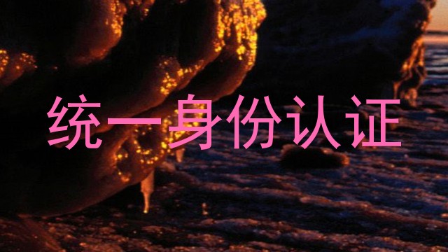 统一身份认证