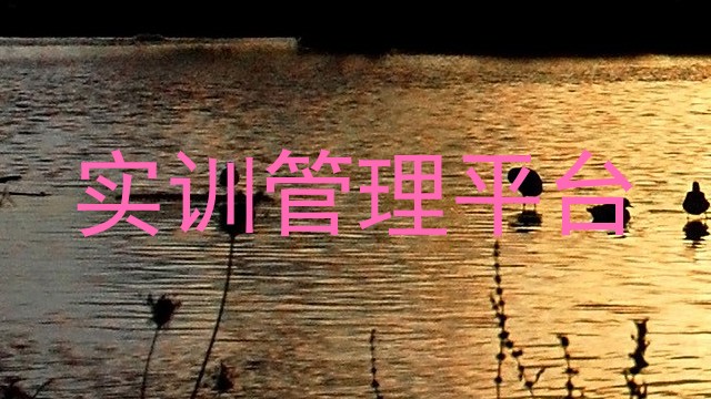 实训管理平台
