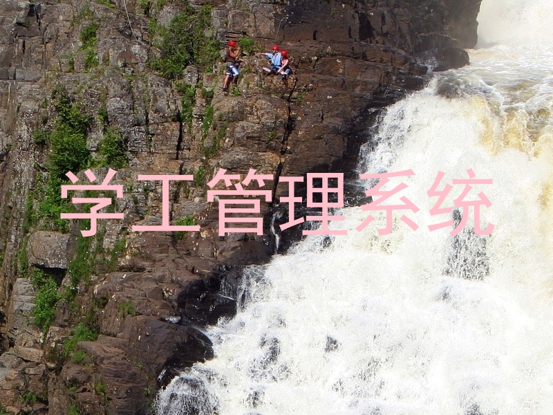 学工管理系统