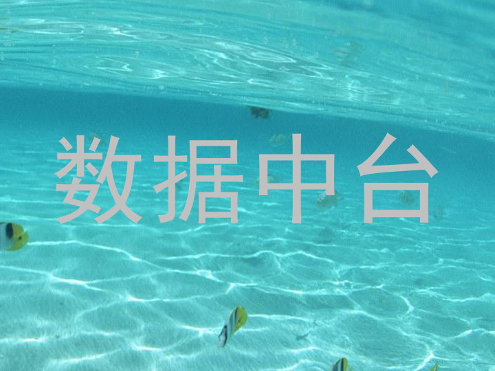 数据中台
