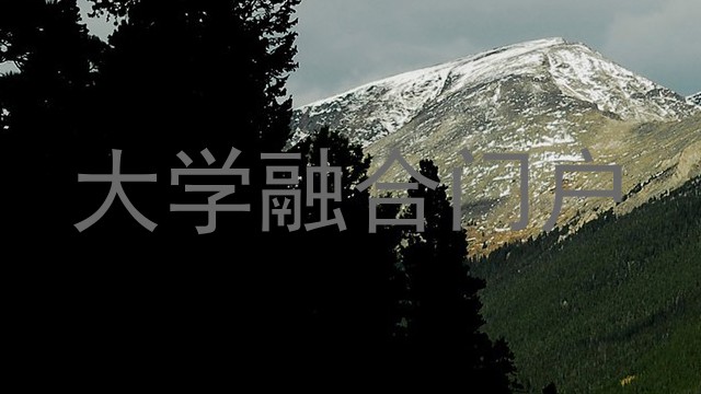 大学融合门户