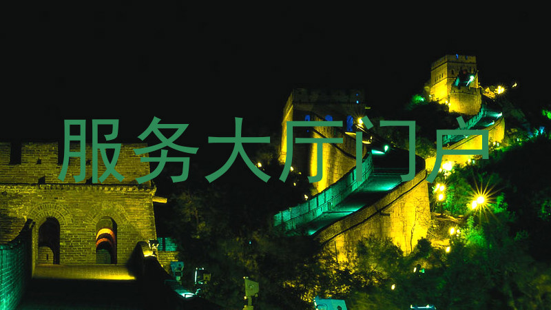 服务大厅门户