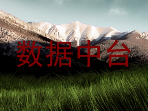 数据中台