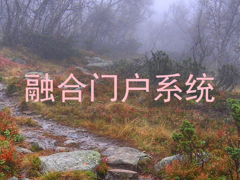 融合门户系统