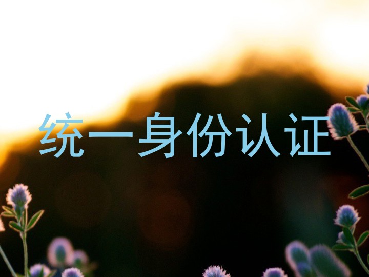 统一身份认证