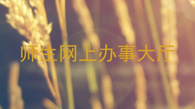 师生网上办事大厅