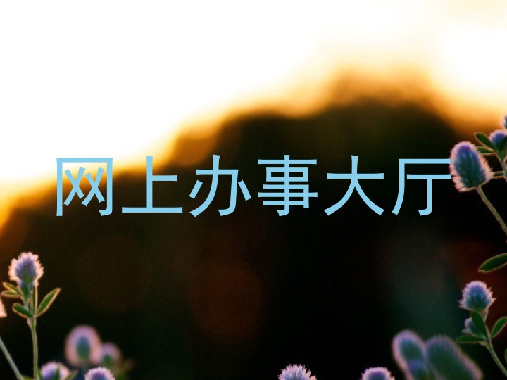 网上办事大厅