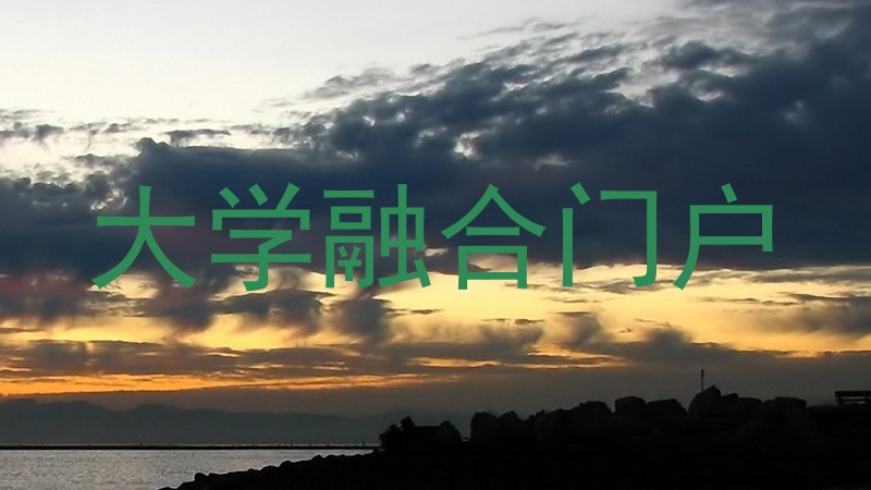 大学融合门户