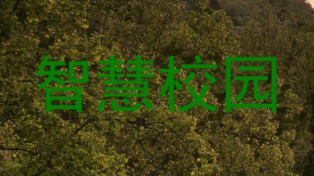 智慧校园