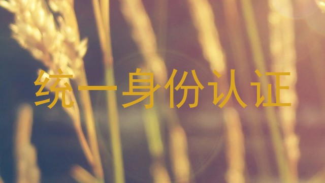 统一身份认证