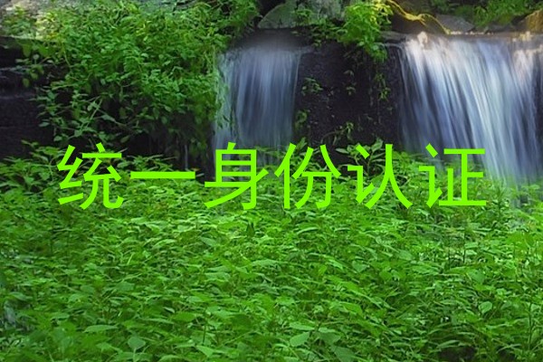 统一身份认证