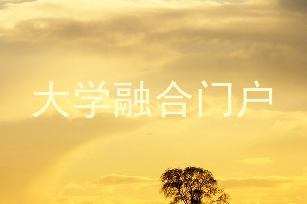 大学融合门户
