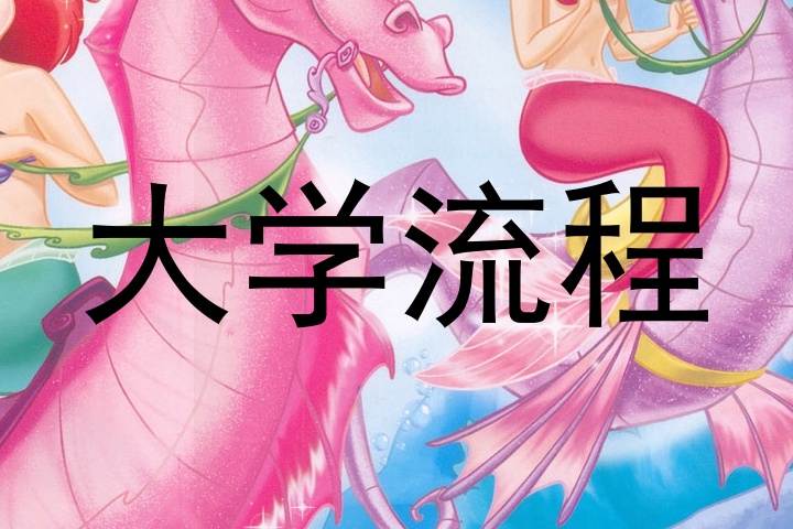 大学流程