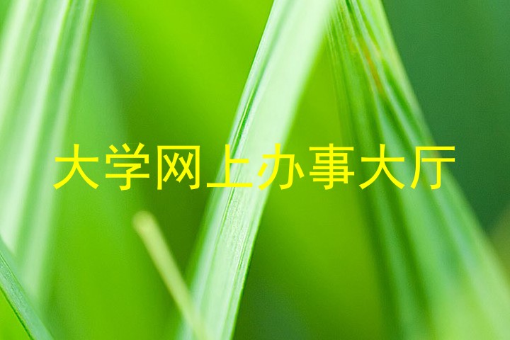 大学网上办事大厅