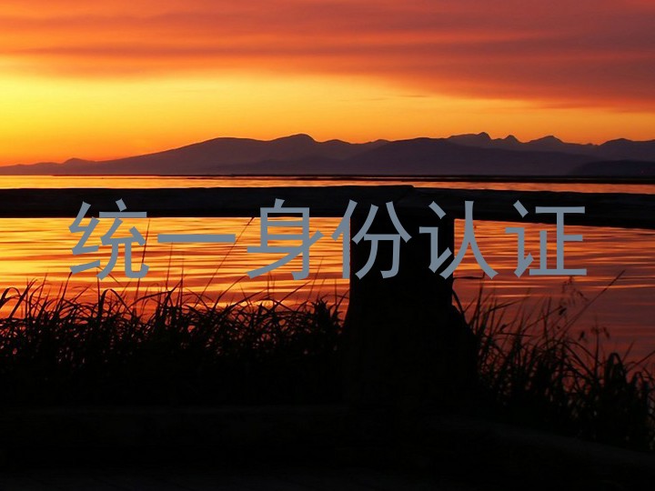 统一身份认证