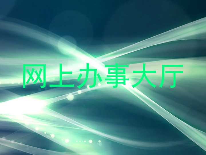 网上办事大厅