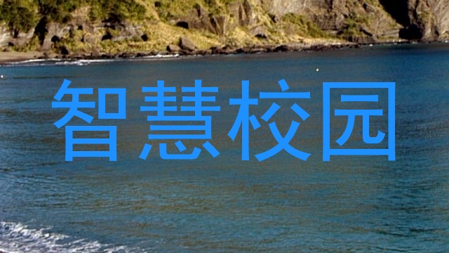 智慧校园