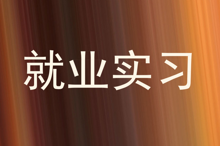 就业实习