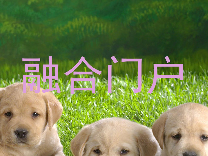 融合门户