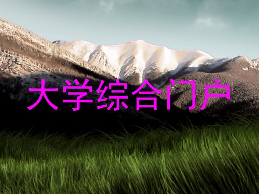 大学综合门户