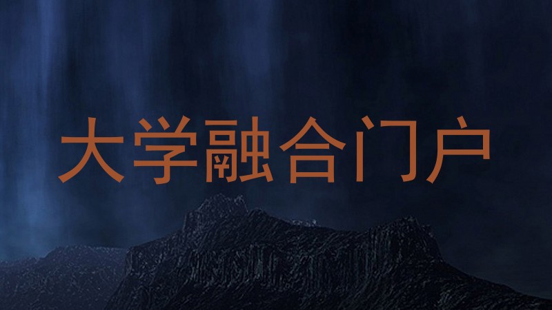 大学融合门户