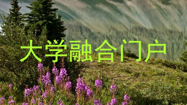 大学融合门户