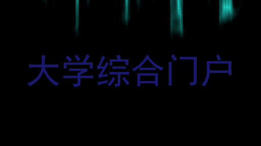 大学综合门户