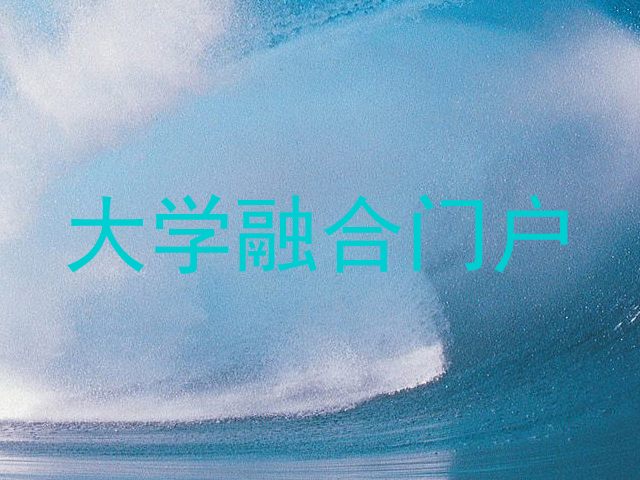 大学融合门户