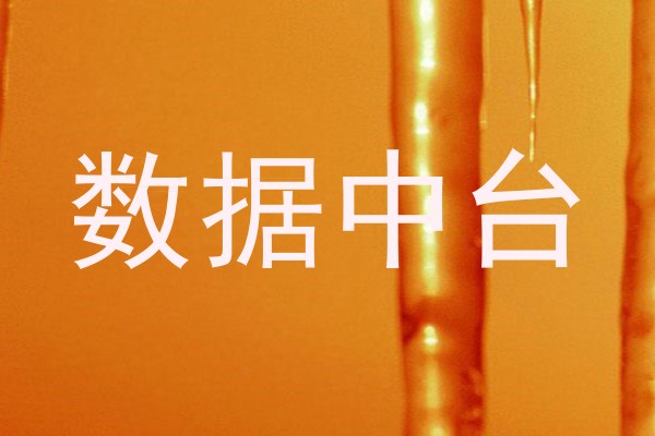 数据中台