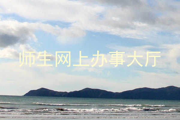 师生网上办事大厅