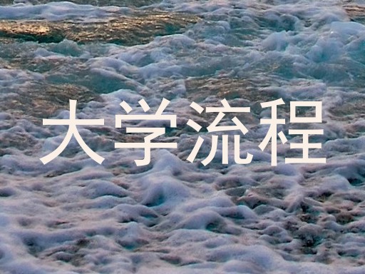 大学流程