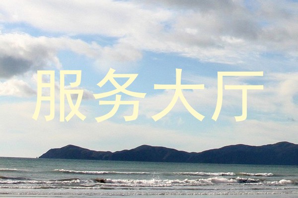 服务大厅