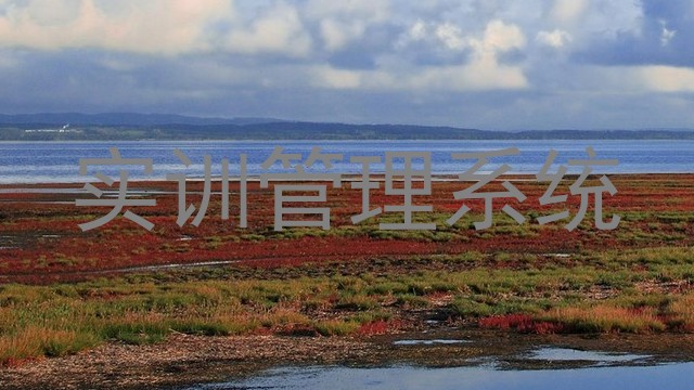 实训管理系统