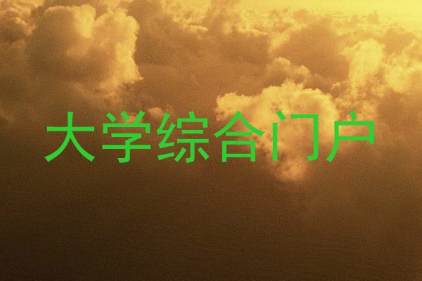 大学综合门户