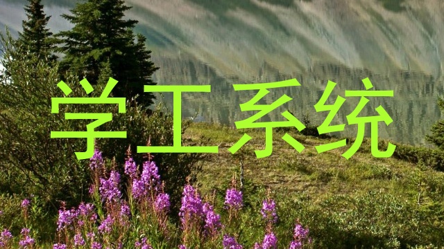 学工系统