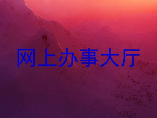 网上办事大厅