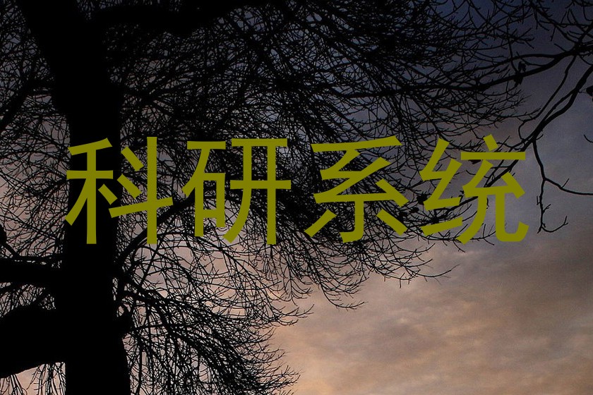 科研系统