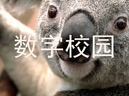 数字校园