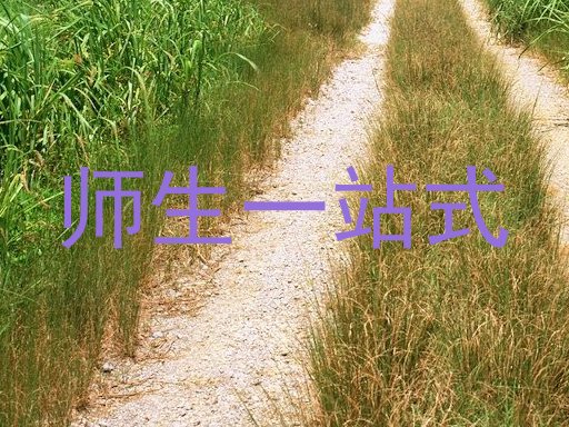 师生一站式