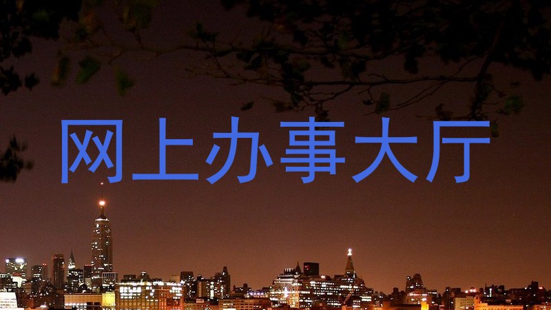 网上办事大厅