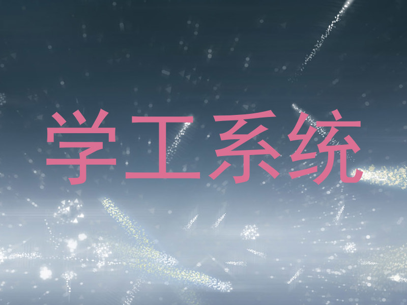 学工系统