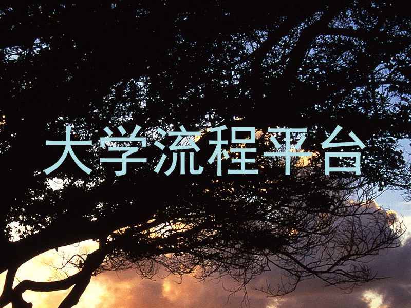 大学流程平台